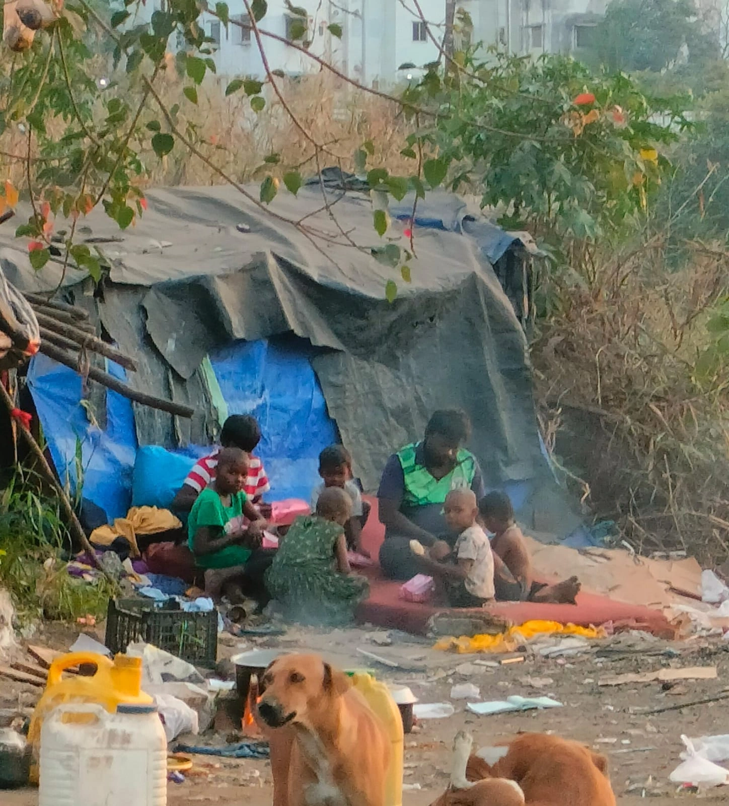 whatsapp image 2025 12 29 at 4.30.36 pm